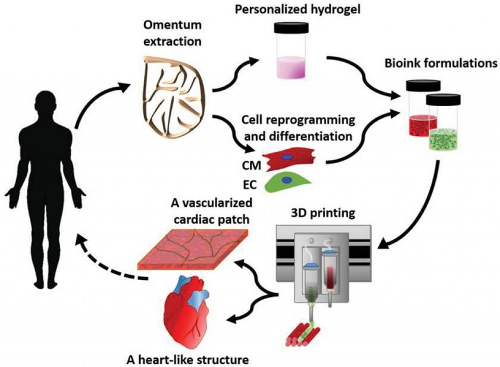 Scientists printed the first 3D heart using patient cells