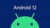 ch smartphones can already install the beta version of Android 12