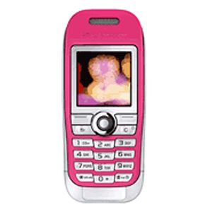 Sony Ericsson J300