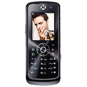 Motorola L800t